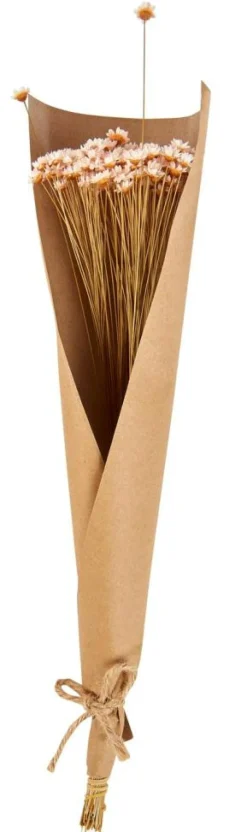 Fleurs Artificielles^CASA ACTINO Fleurs Séchées Rose