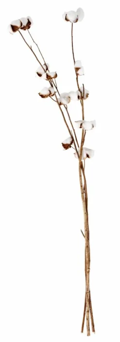 Vases^CASA ADDO Vase Crème