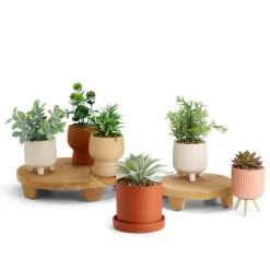 Plantes Artificielles^CASA CERA Plante Artificielle Diverses Couleurs