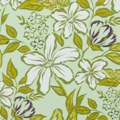 Boîtes De Conservation^CASA FRESHMOOD Boîtes à Snack Set De 3 Seafoam + Motif Loulou Seafoam (vert)