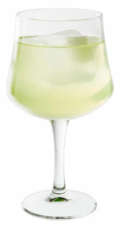 Verres À Cocktail^CASA GIN Verre 65 CL Transparent