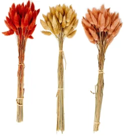 Fleurs Artificielles^CASA LAGURUS Lagure Ovale Naturel