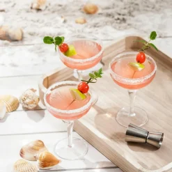 Verres À Cocktail^CASA MIXOLOGY Verre à Cocktail 22,5 CL Transparent