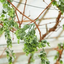 Fleurs Artificielles^CASA PAMPAS Tiges D'herbe Gris