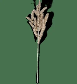 Branches Artificielles^CASA PINE Branche Doré