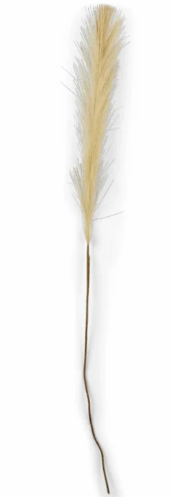 Branches Artificielles^CASA PLUME Plumes Décoratives Brun Clair