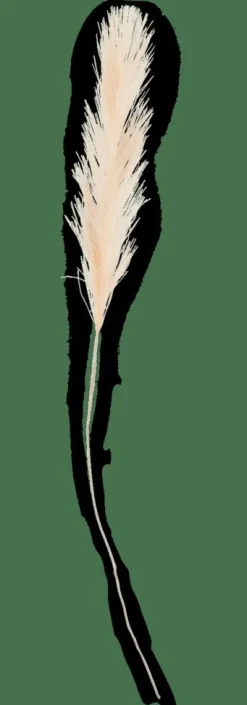 Branches Artificielles^CASA PLUME Plumes Décoratives Crème